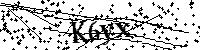 Bitte geben Sie die Buchstaben und Zahlen unten ein