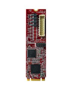 EGPL-G1N3-Serie: Netzwerkschnittstelle M.2 2280 zu Single GbE LAN Module