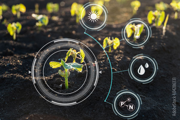 Use Case Smart Farming: Landwirtschaft analysieren, automatisieren und optimieren Use Case Smart Farming: Landwirtschaft analysieren, automatisieren und optimieren